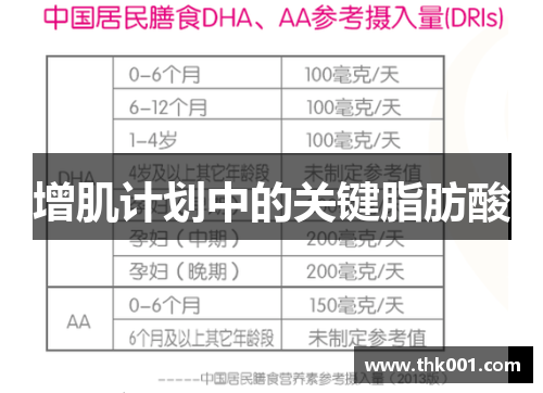 增肌计划中的关键脂肪酸